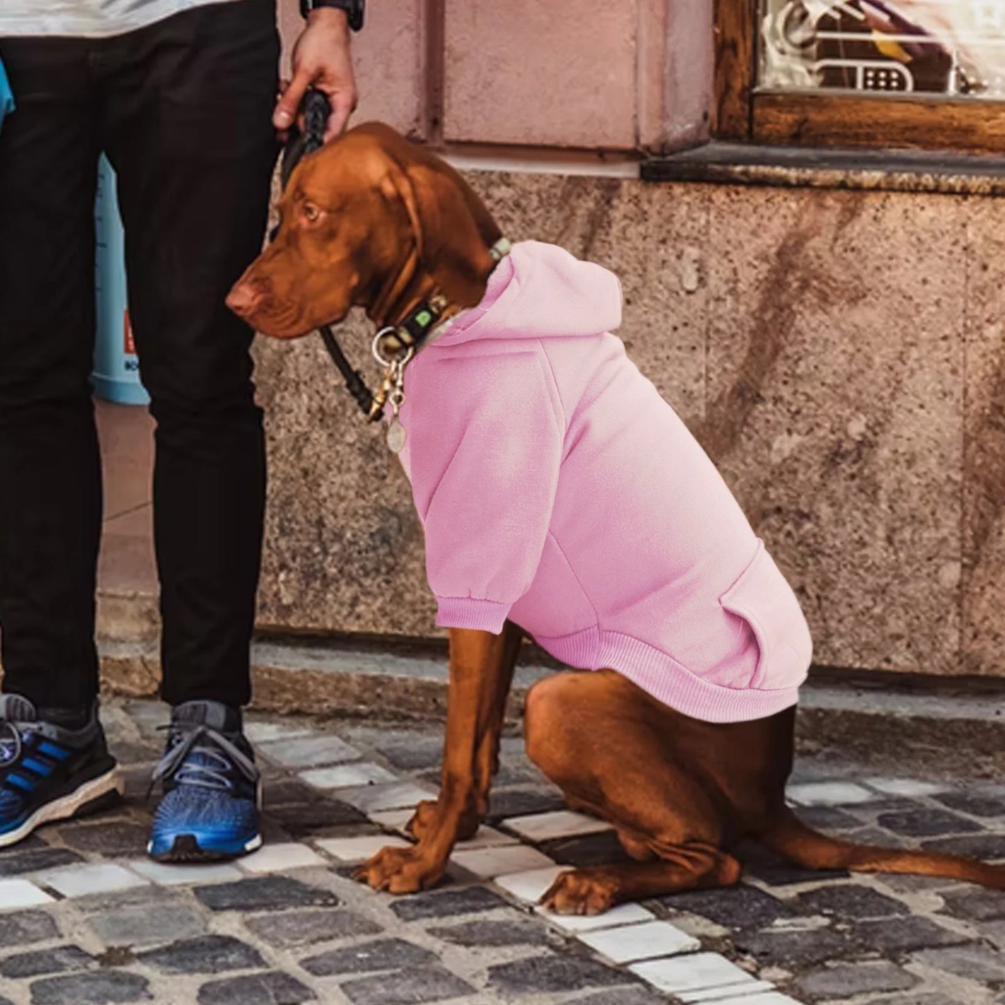 Dog Hoodie with Pocket - Fall Winter Warm Sweater Puppy Clothes Girl Dog Sweater for Small Medium Dogs New Years Dog Clothes Boy Girl Cute Dog Clothes for Boys Small Pug Clothes for Dog Do