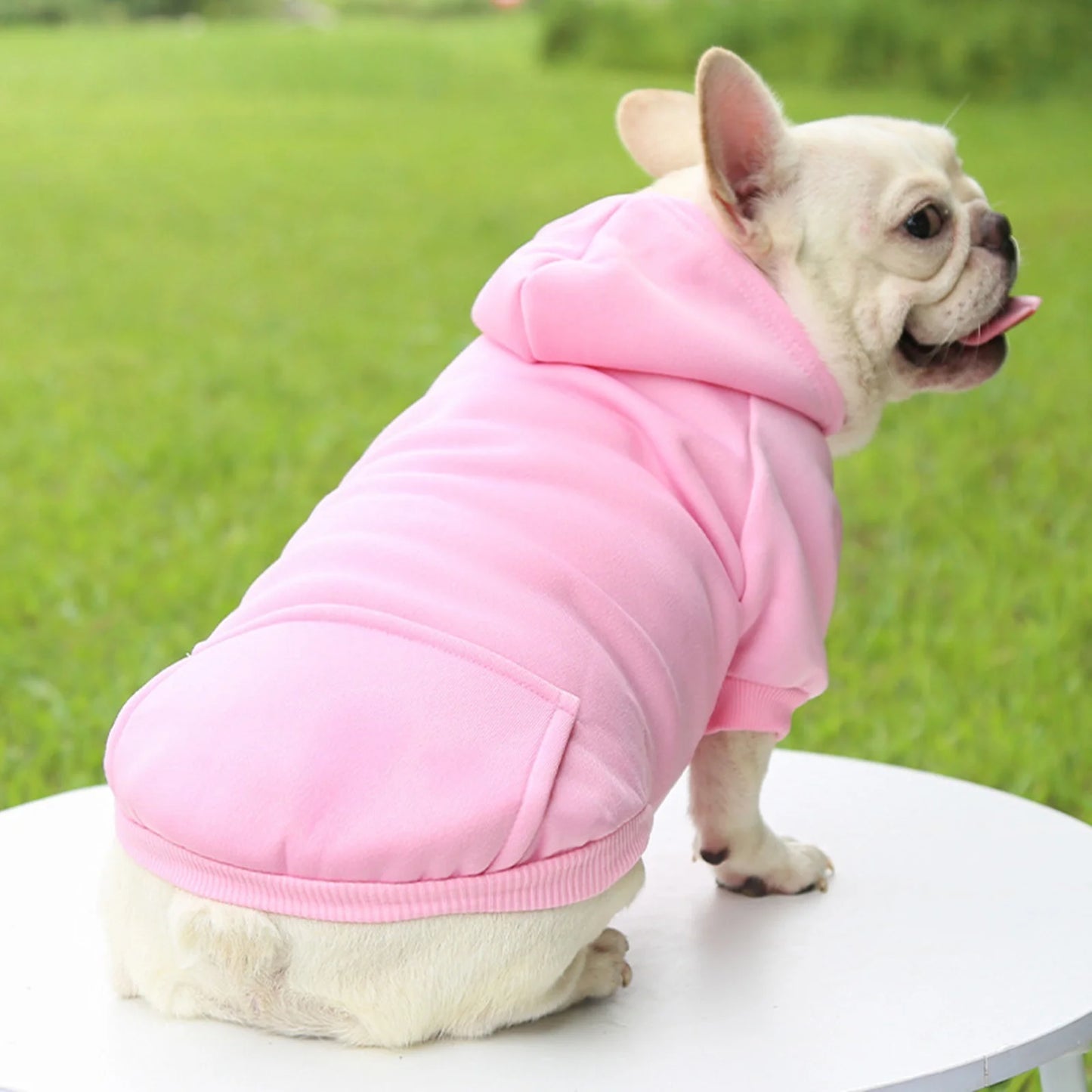 Dog Hoodie with Pocket - Fall Winter Warm Sweater Puppy Clothes Girl Dog Sweater for Small Medium Dogs New Years Dog Clothes Boy Girl Cute Dog Clothes for Boys Small Pug Clothes for Dog Do