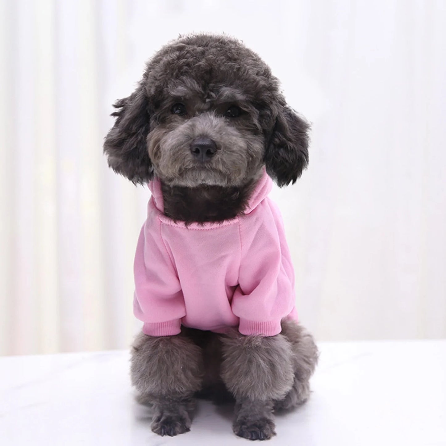Dog Hoodie with Pocket - Fall Winter Warm Sweater Puppy Clothes Girl Dog Sweater for Small Medium Dogs New Years Dog Clothes Boy Girl Cute Dog Clothes for Boys Small Pug Clothes for Dog Do