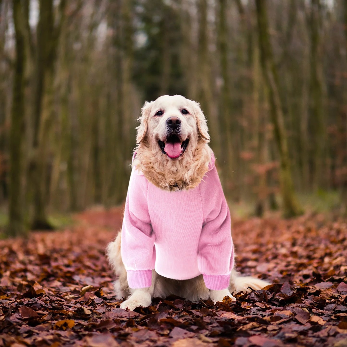 Dog Hoodie with Pocket - Fall Winter Warm Sweater Puppy Clothes Girl Dog Sweater for Small Medium Dogs New Years Dog Clothes Boy Girl Cute Dog Clothes for Boys Small Pug Clothes for Dog Do
