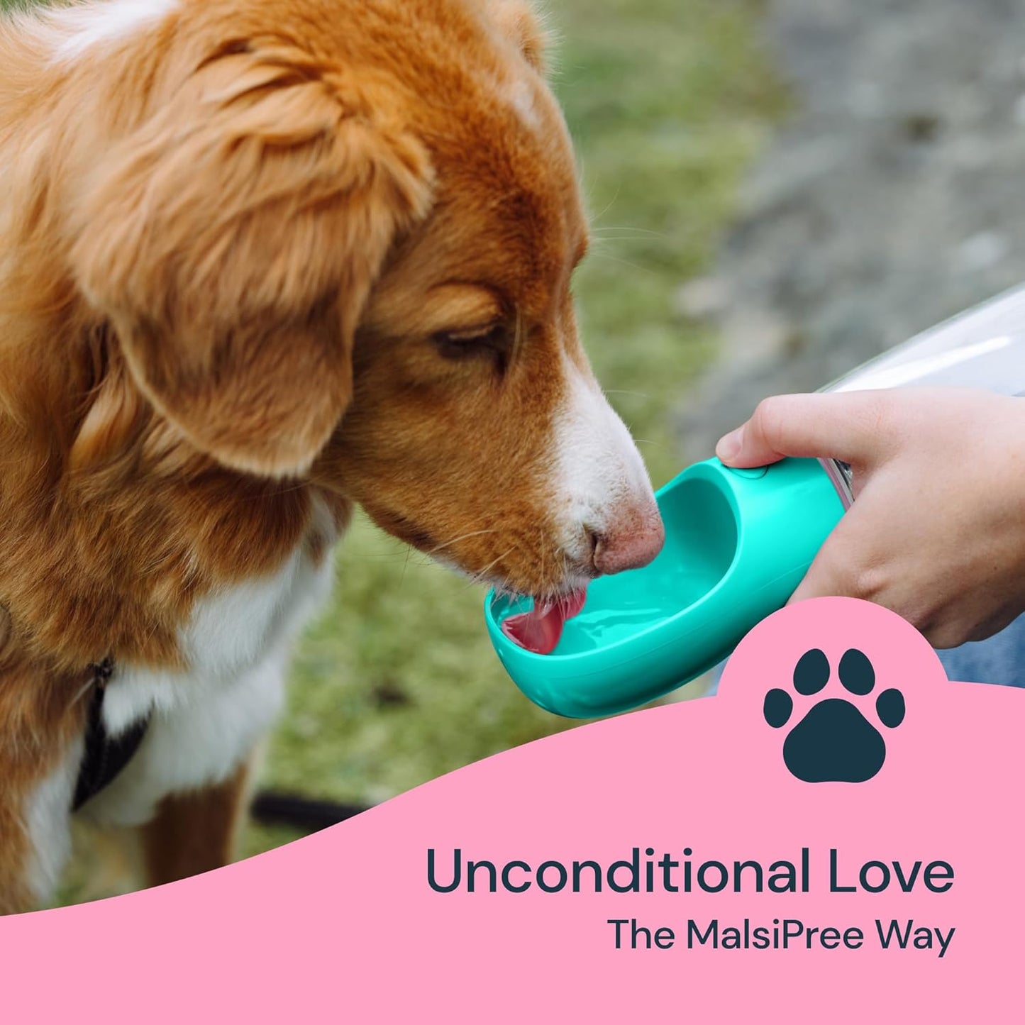 Portable Dog Water Bottle - 19 Oz, Blue - Leak-Proof Water Bowl Dispenser with Lock for Hiking, Travel & On-The-Go