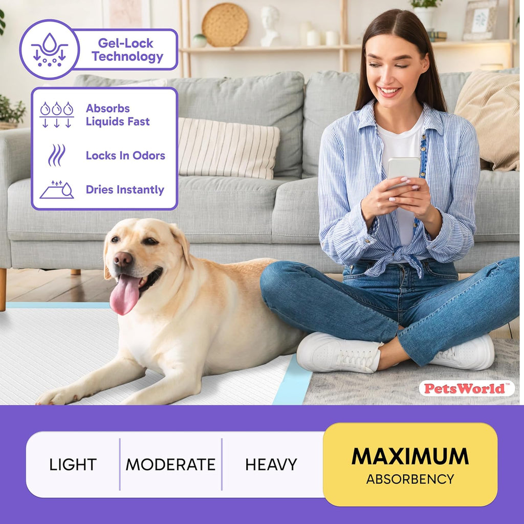 2XL Puppy Pads, 28X44 Inch, 50 Count| Ultra-Absorbent, Leak-Proof Dog Pee Pads for Potty Training